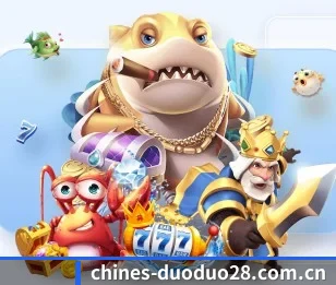多多28的故事 - 体育资讯内容服务(duoduo28)