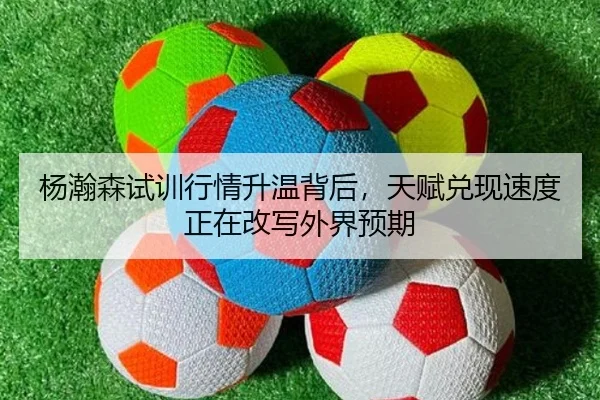 杨瀚森试训行情升温背后，天赋兑现速度正在改写外界预期